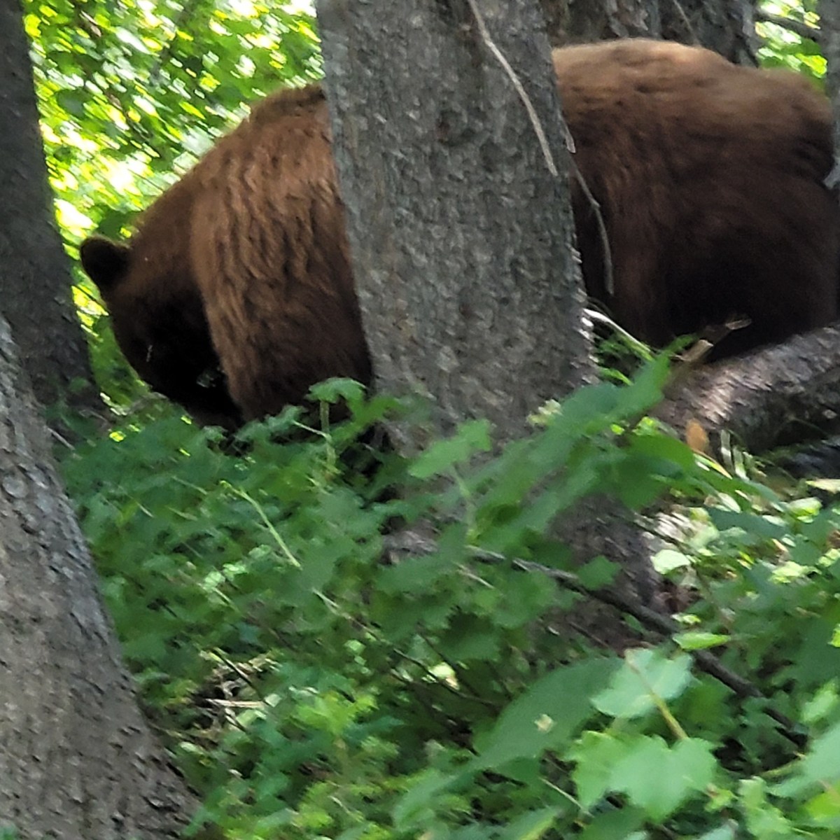 Leesburg, Ohio; Day&nbsp;22