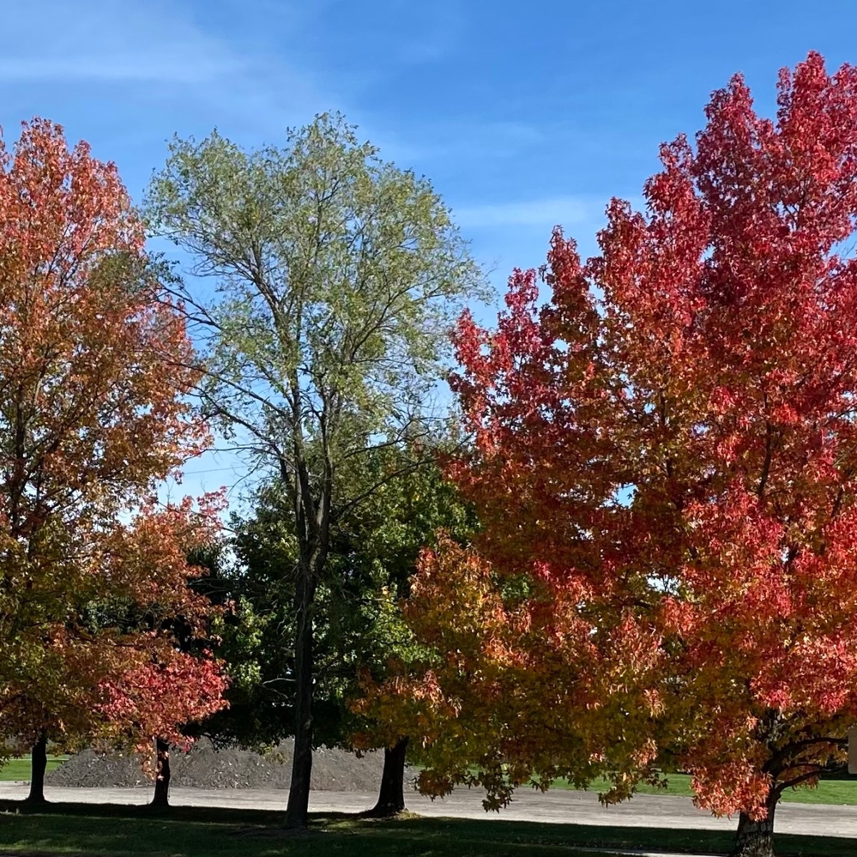 Leesburg, Ohio; Day&nbsp;11