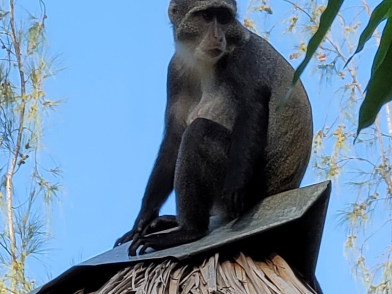 Diani Beach, Kenya; Day&nbsp;2