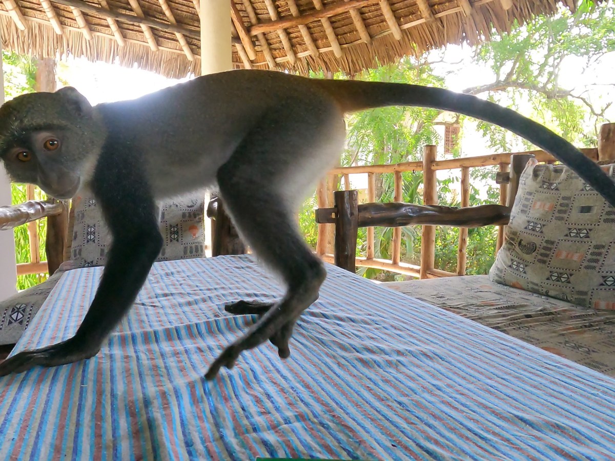 Diani Beach, Kenya; Day&nbsp;12