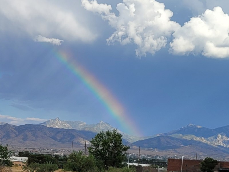 Travel Home; Day&nbsp;3