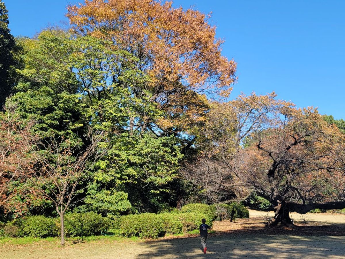 Tokyo, Japan; Day&nbsp;4